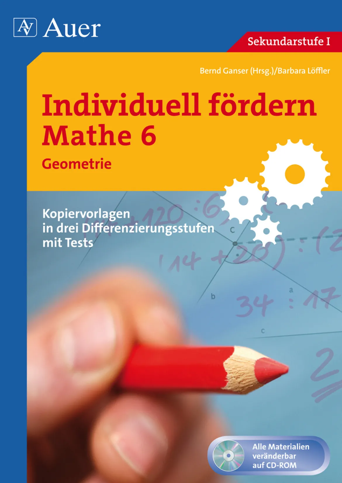 Individuell fördern Mathe 6 Geometrie