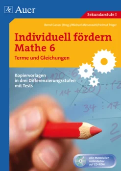Individuell fördern Mathe 6 Terme und Gleichungen