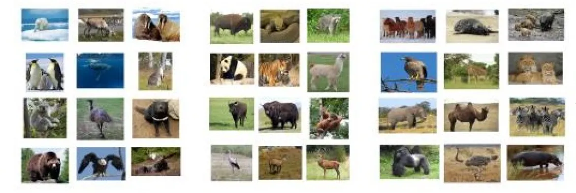 Indoor Spielteppich Tiere inkl. 36 Kärtchen
