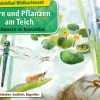 Kamishibai-Bildkartenset - Tiere und Pflanzen am Teich, 6 bis 12 Jahre