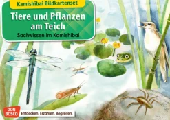 Kamishibai-Bildkartenset - Tiere und Pflanzen am Teich, 6 bis 12 Jahre