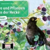 Kamishibai Bildkartenset - Tiere und Pflanzen in der Hecke, 6-10 Jahre