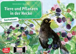 Kamishibai Bildkartenset - Tiere und Pflanzen in der Hecke, 6-10 Jahre