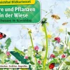 Kamishibai Bildkartenset - Tiere und Pflanzen in der Wiese, 6 bis 12 Jahre