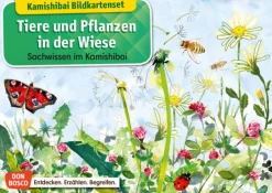 Kamishibai Bildkartenset - Tiere und Pflanzen in der Wiese, 6 bis 12 Jahre