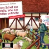 Kamishibai Bildkartenset - Vom Schaf zur Wolle. Wie ein Faden entsteht, 4-8 Jahre