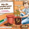 Kamishibai Bildkartenset - Wie die Kartoffel keimt und wächst, 4-8 Jahre