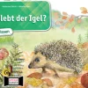 Kamishibai Bildkartenset - Wie lebt der Igel?, 6-10 Jahre