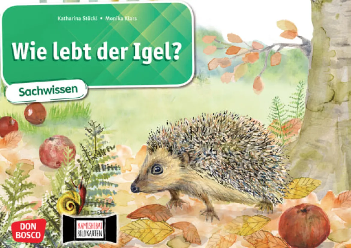 Kamishibai Bildkartenset - Wie lebt der Igel?, 6-10 Jahre