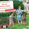 Kamishibai Bildkartenset - Wo der Ketchup wächst. Wie die Tomate keimt und reift, 4-8 Jahre