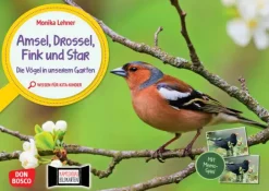 Kamishibai Bildkarten und Memo-Spiel - Amsel, Drossel, Fink und Star. Die Vögel in unserem Garten, 3-6 Jahre