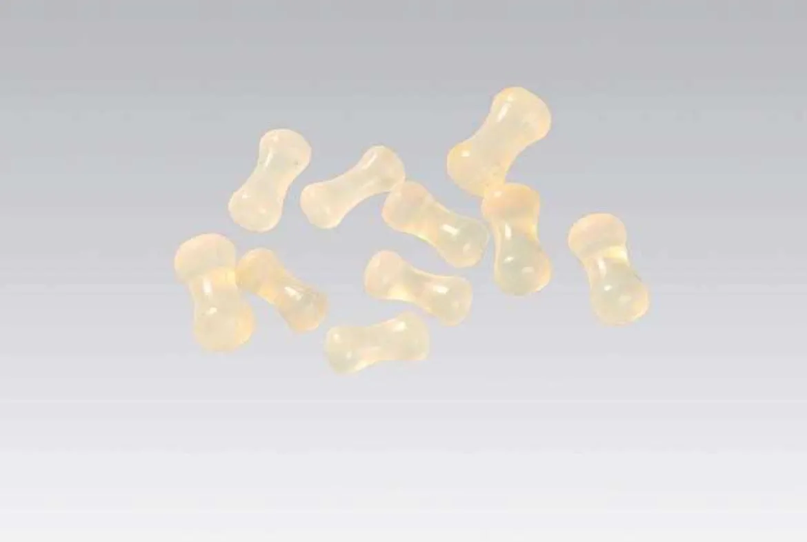 Kauknöchelchen klein (10 Stück)