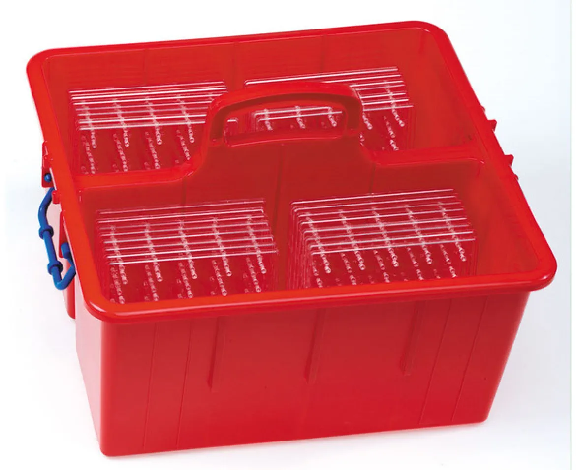 Klassensatz mit 30 transparenten Geometrieboards in Tragebox, ab 4 Jahre