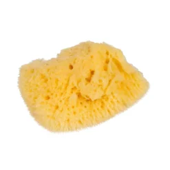 Kleiner Naturschwamm