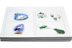 Kon-Lab Kartensatz Die Vogelwelt, 0-10 Jahre