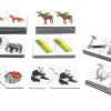 Kon-Lab Puzzle Plural, Sprachrhythmus und Wortbildung 3 mit Anleitung für Eltern, 0-10 Jahre