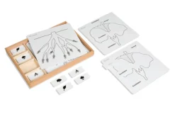 Kontrollkarten für die Botanischen Puzzles, im Holzkasten mit Deckel