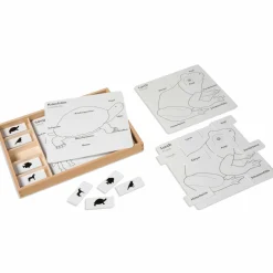 Kontrollkarten für die Tierpuzzles