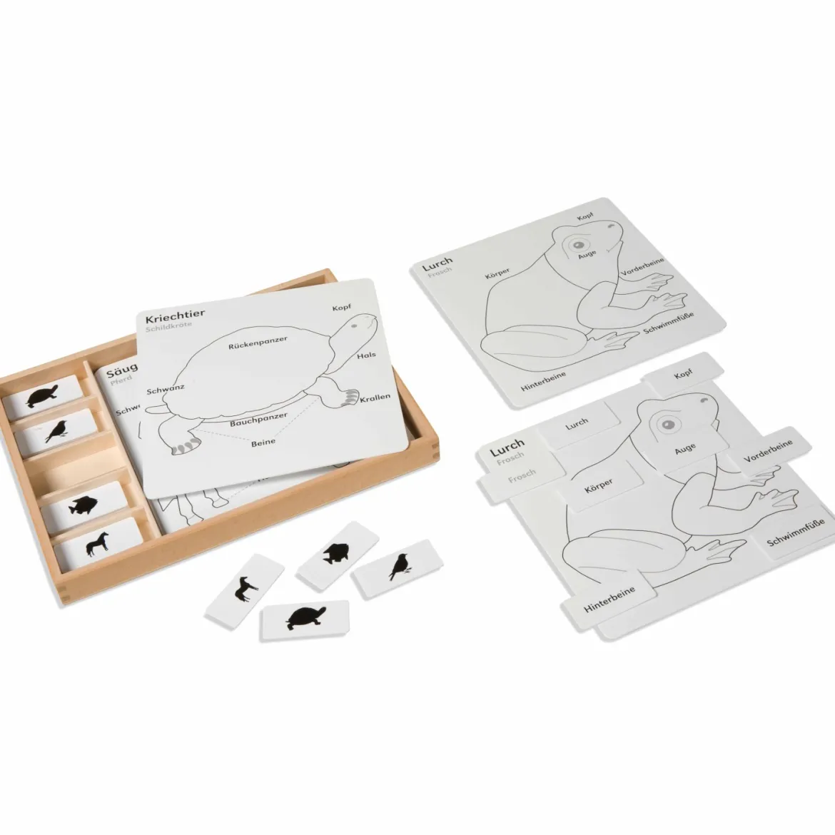 Kontrollkarten für die Tierpuzzles