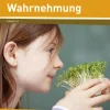 Kreative 5 Minuten: Wahrnehmung, Buch, 1.-4. Klasse