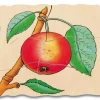 Lagenpuzzle Apfel, Holzpuzzle mit 5 Lagen, 4-7 Jahre
