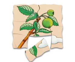 Lagenpuzzle Apfel, Holzpuzzle mit 5 Lagen, 4-7 Jahre