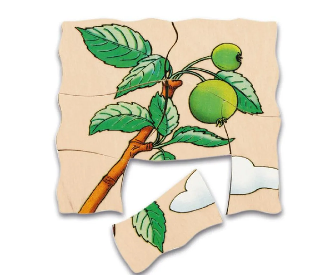 Lagenpuzzle Apfel, Holzpuzzle mit 5 Lagen, 4-7 Jahre