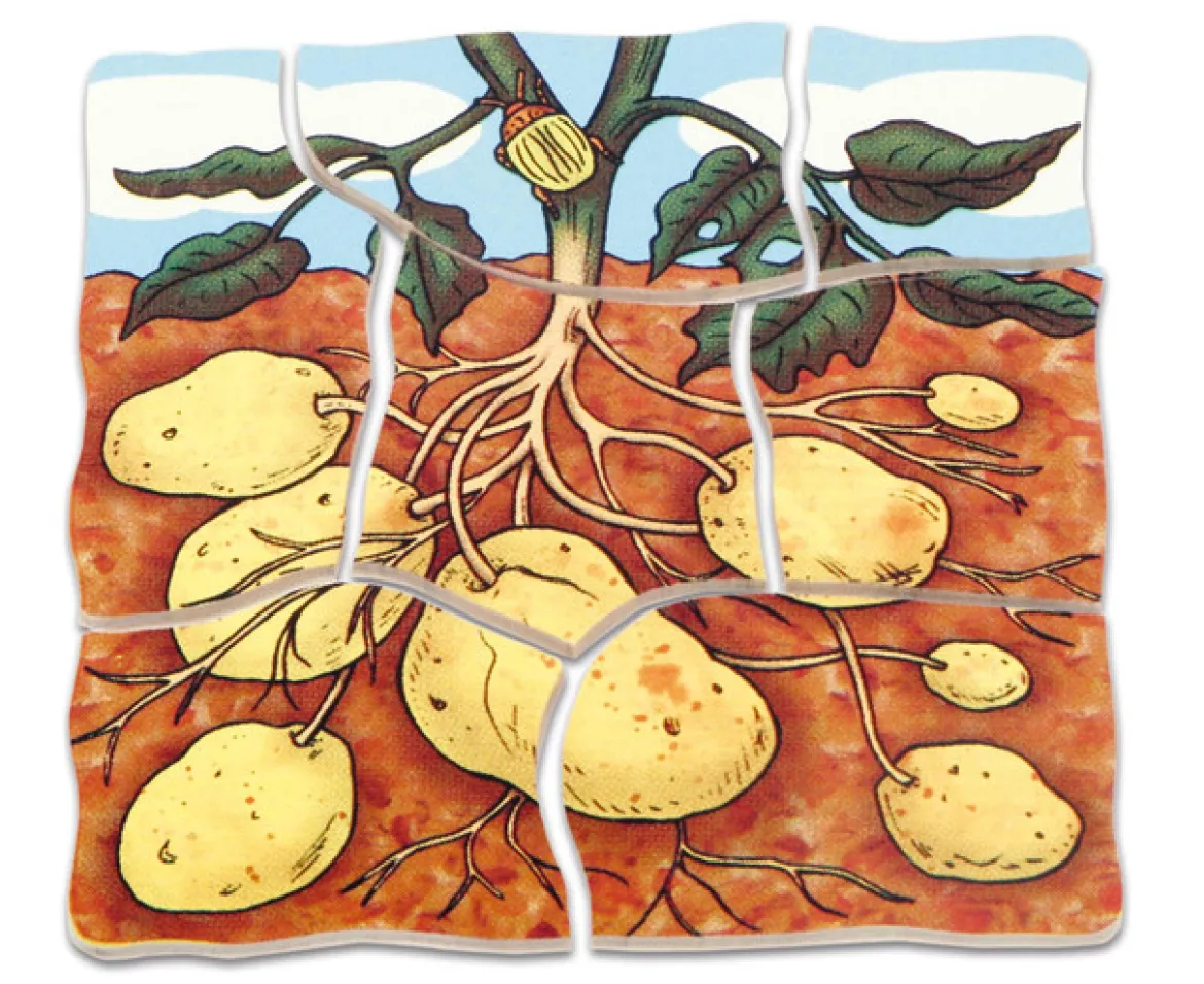Lagenpuzzle Kartoffel, Holzpuzzle mit 5 Lagen, 4-5 Jahre