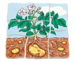 Lagenpuzzle Kartoffel, Holzpuzzle mit 5 Lagen, 4-5 Jahre
