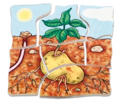 Lagenpuzzle Kartoffel, Holzpuzzle mit 5 Lagen, 4-5 Jahre