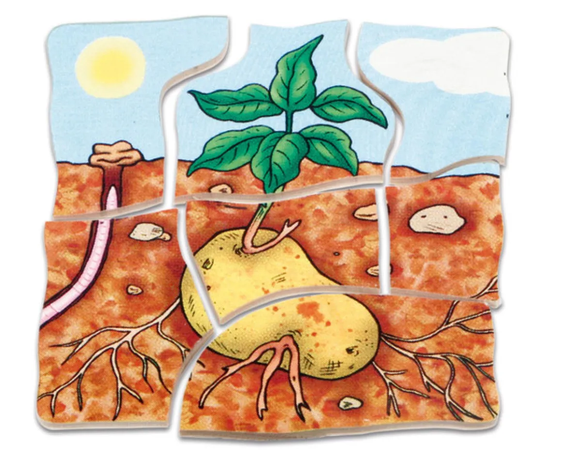 Lagenpuzzle Kartoffel, Holzpuzzle mit 5 Lagen, 4-5 Jahre