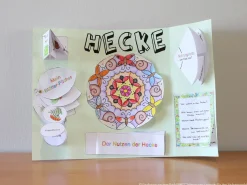 Lebensraum-Lapbooks für den Sachunterricht
