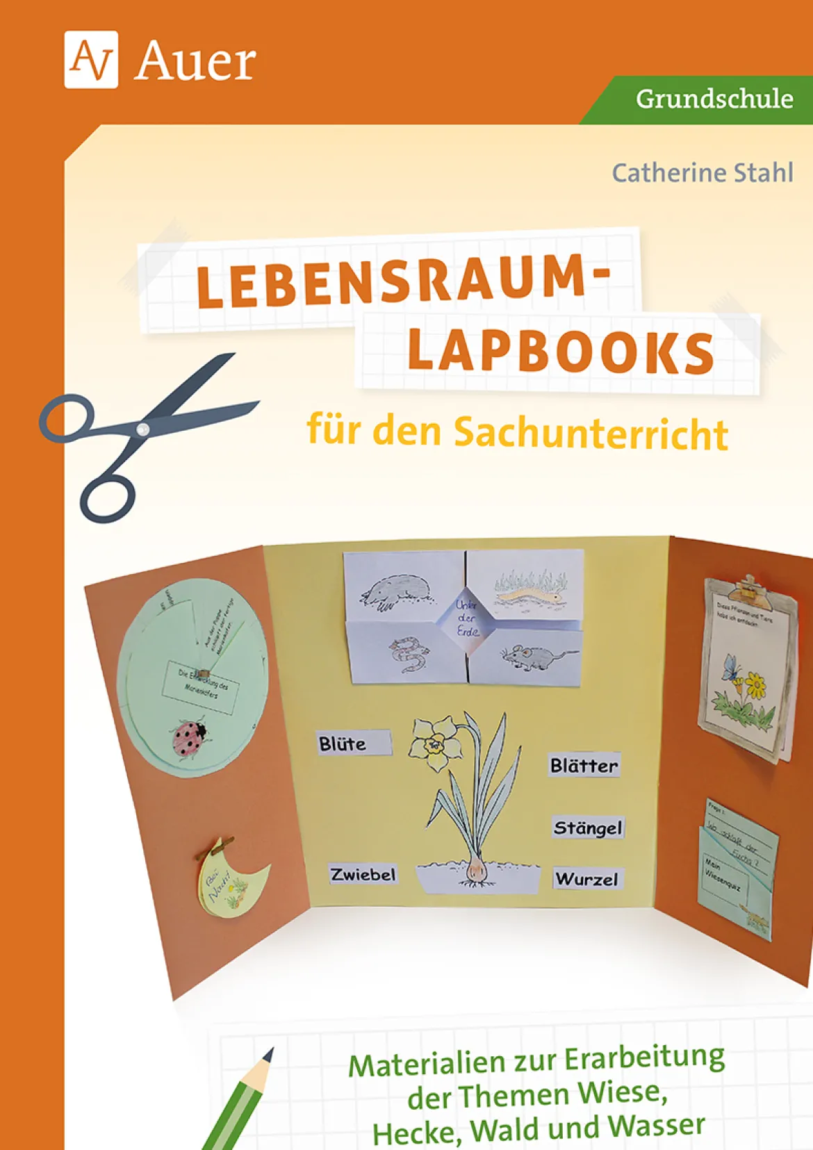 Lebensraum-Lapbooks für den Sachunterricht