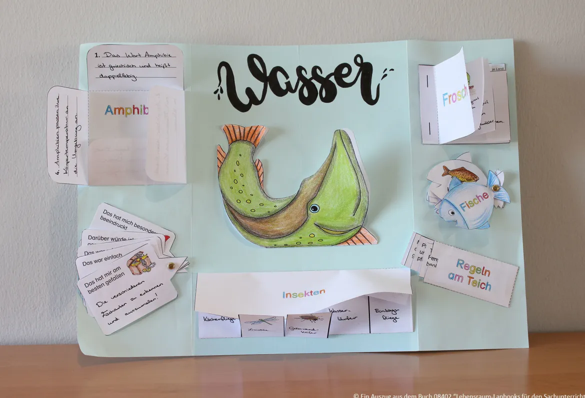 Lebensraum-Lapbooks für den Sachunterricht