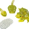 Lebenszyklus Frosch, 4 Kunststoff-Figuren, 4-12 Jahre