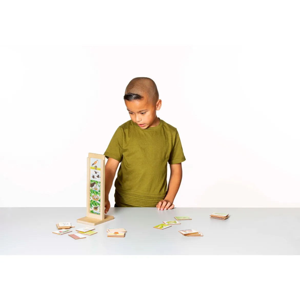 Lebenszyklus, Sortierspiel, 4-7 Jahre