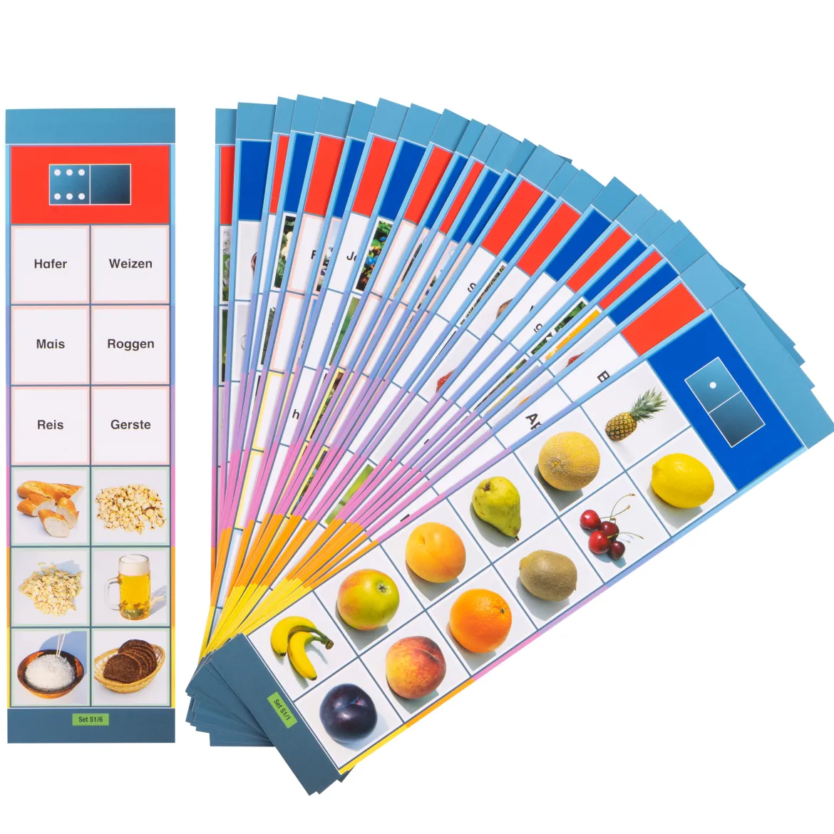 Lernkarten, Flocards Grundschule, Sachkunde S1, Pflanzen, 24-teilig