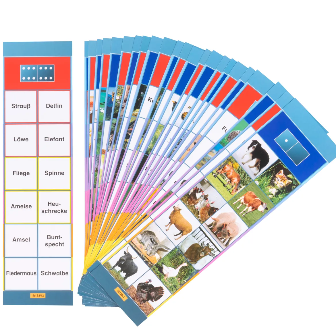 Lernkarten, Flocards Grundschule, Sachkunde S2, Tiere, 24-teilig