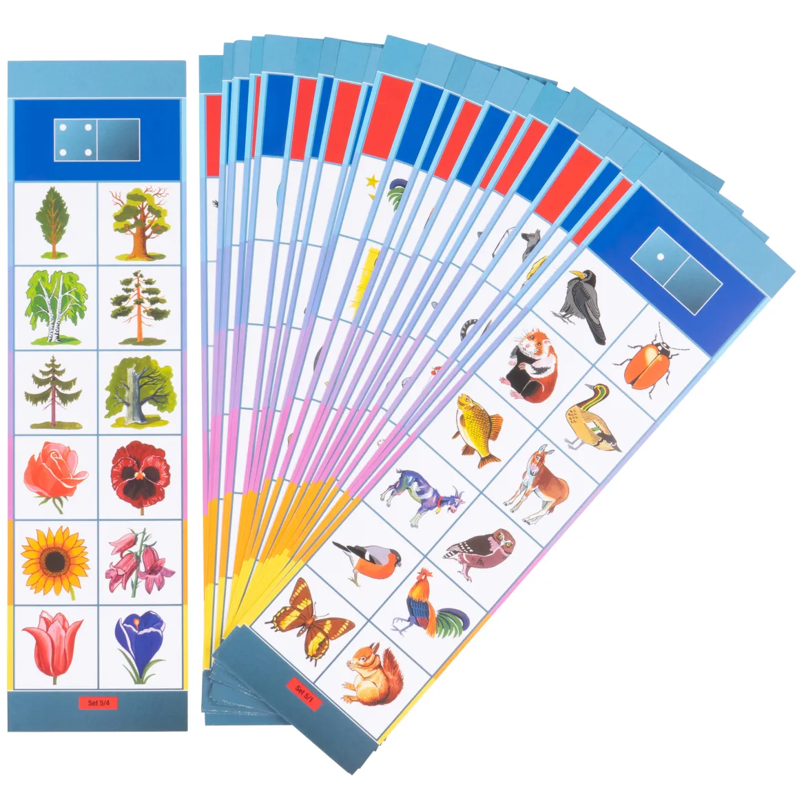 Lernkarten, Flocards Kindergarten Set 5, Perspektiven und Umgebungen, 24-teilig