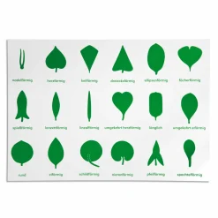 Lernplakat Botanische Kommode Nienhuis, ab 5 Jahre