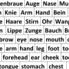Magnetisches Tafel-Set Mein Körper / my body