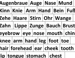 Magnetisches Tafel-Set Mein Körper / my body