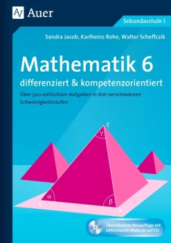 Mathematik 6 differenziert u. kompetenzorientiert