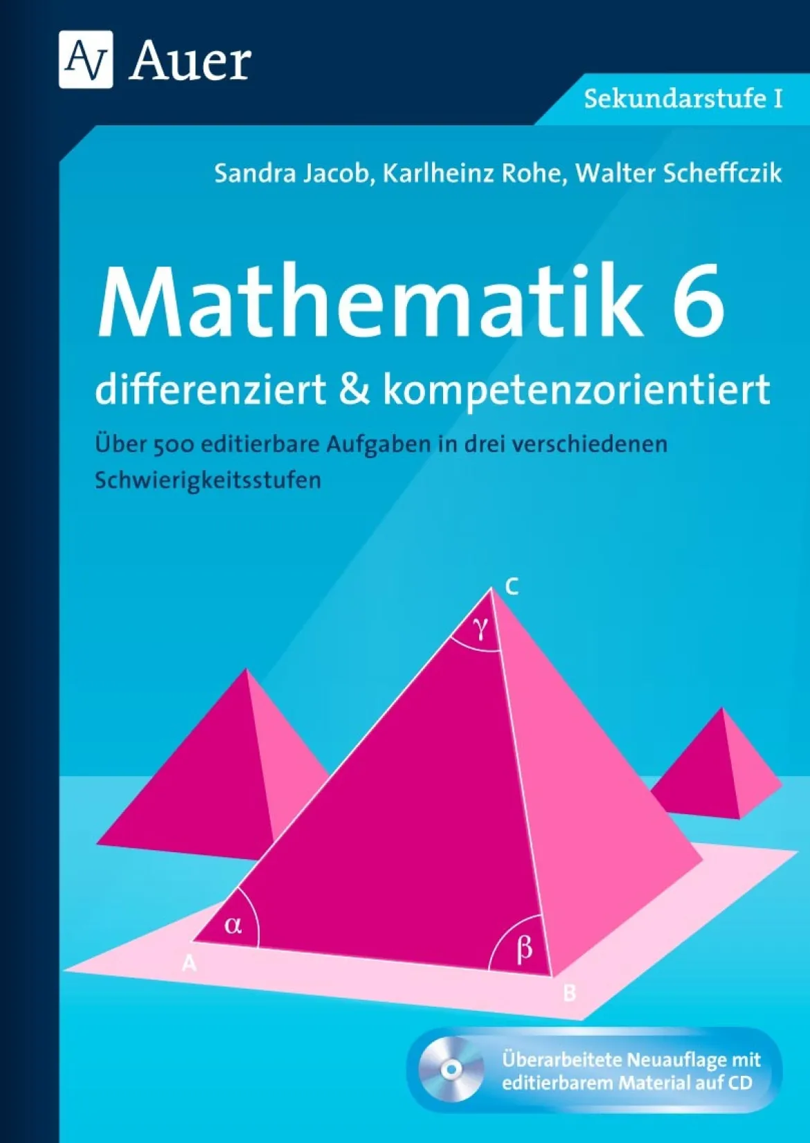 Mathematik 6 differenziert u. kompetenzorientiert