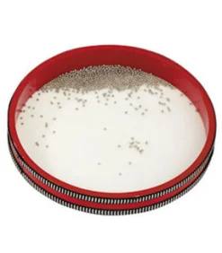 Meerestrommel mit Perlen, Durchmesser 25 cm, ab 3 Jahre