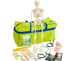 Meine Körpertasche, Materialsammlung mit Skelett, 4-10 Jahre