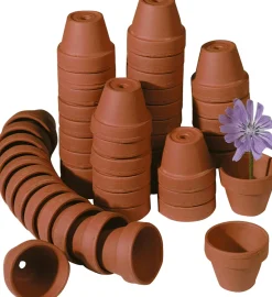 Mini-Tontöpfe 3,5 cm 50 Stück
