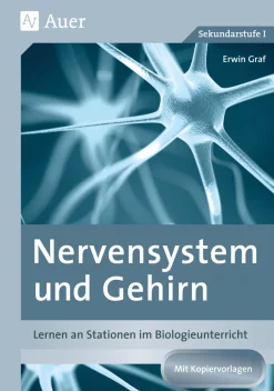 Nervensystem und Gehirn