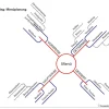 NEUROvitalis Basisprogramm, Ordner