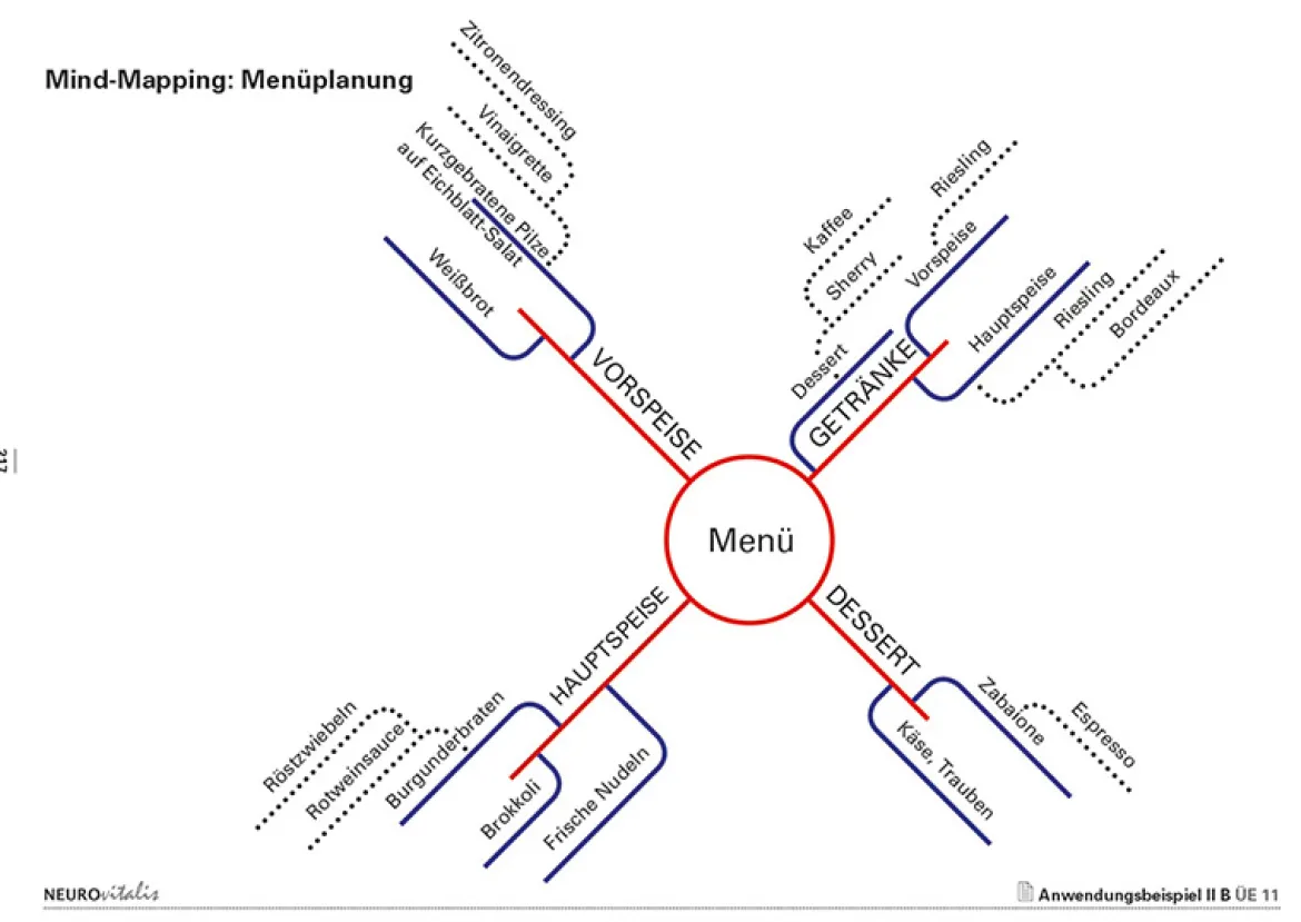 NEUROvitalis Basisprogramm, Ordner